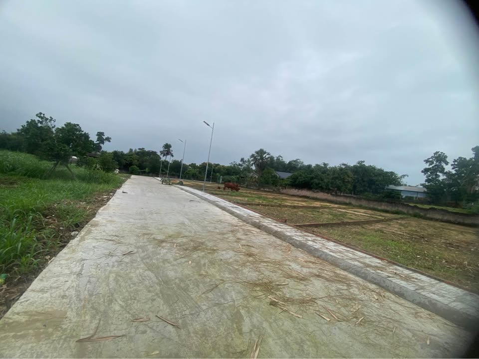 Đất nền thổ cư 115m² tại Giếng Mát - Giá chỉ 500 triệu - Cơ hội đầu tư hấp dẫn!