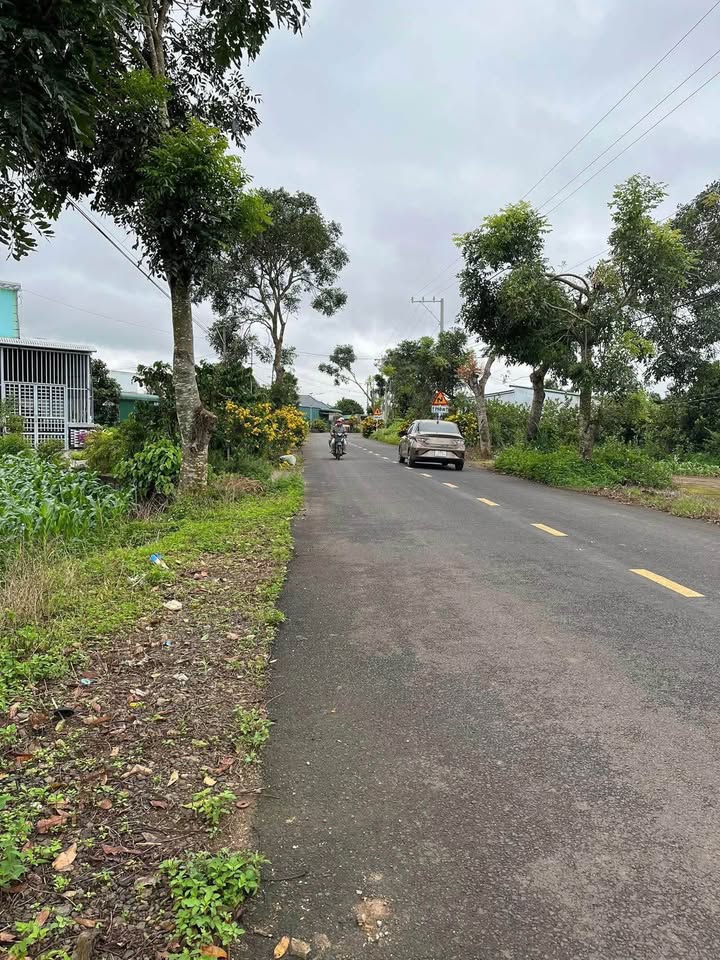 Đất nền mặt tiền đường Tân Thành, Tân Hội 1500m² giá 4.8 tỷ - Đầu tư sinh lời ngay!