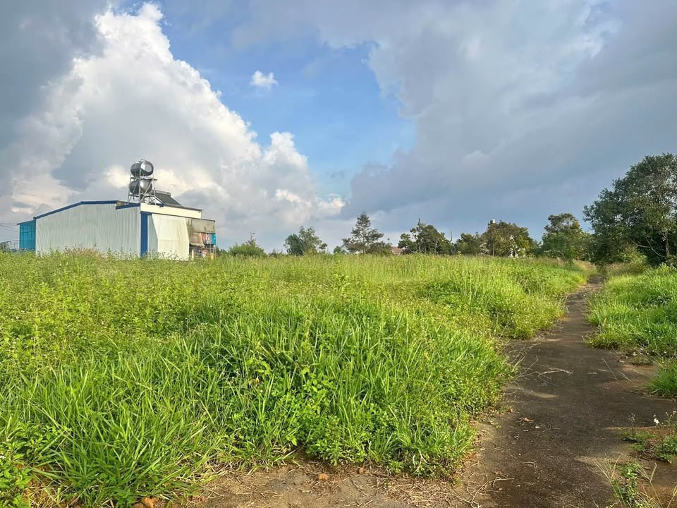 Đất thổ cư Nguyễn Trãi, Bảo Lộc 139m² giá chỉ 680 triệu - Cơ hội đầu tư tuyệt vời!