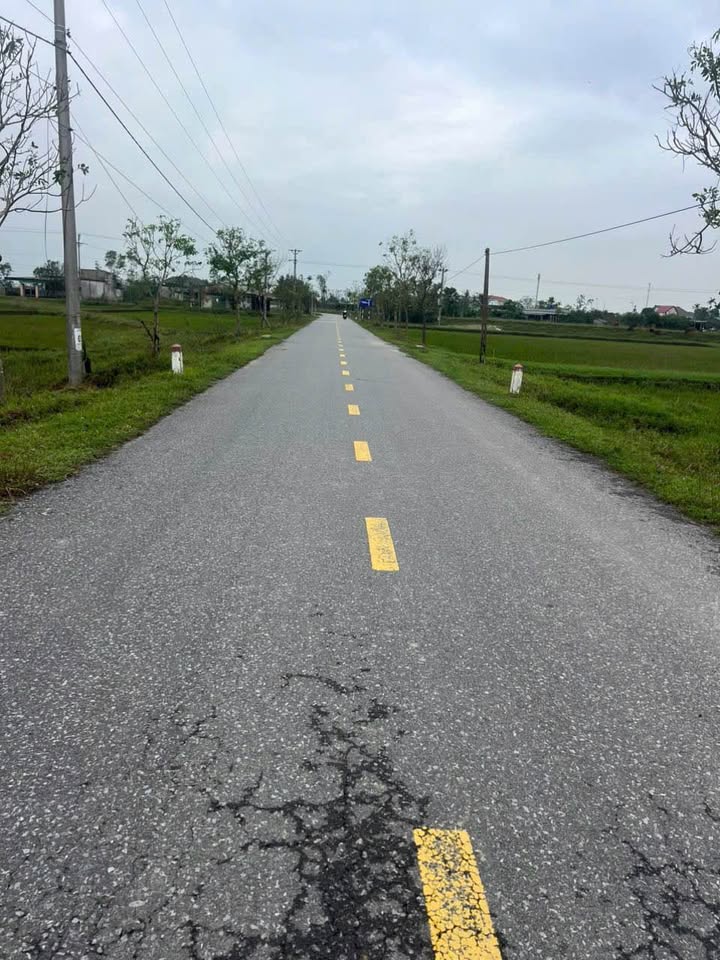 Đất nền Thạch Thắng 200m² giá chỉ 1.8 tỷ - Đầu tư sinh lời ngay hôm nay!