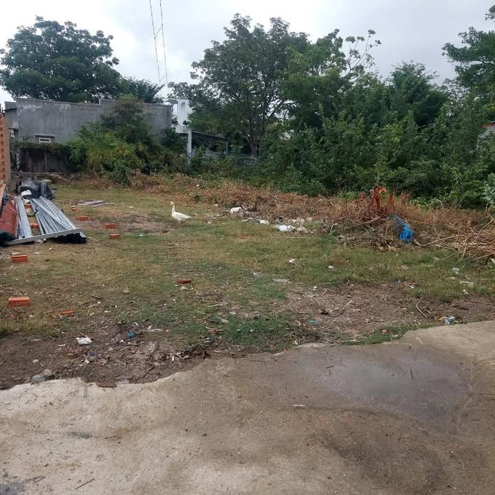 Đất thổ cư Hộ Hải 136m² giá 420 triệu - Đường bê tông ô tô vào tận nơi!