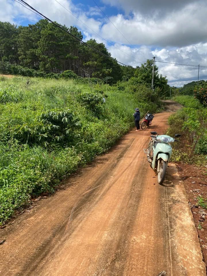 Đất nền xã Nam Ban Lâm Hà 1.6 sào giá 2.4 tỷ - View đồi núi tuyệt đẹp!