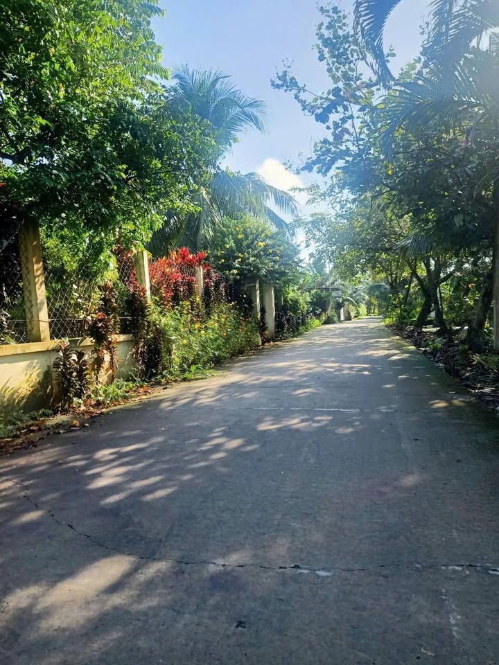 Đất mặt tiền Giồng Da 1400m² giá 3.6 tỷ - Đầu tư sinh lời ngay!