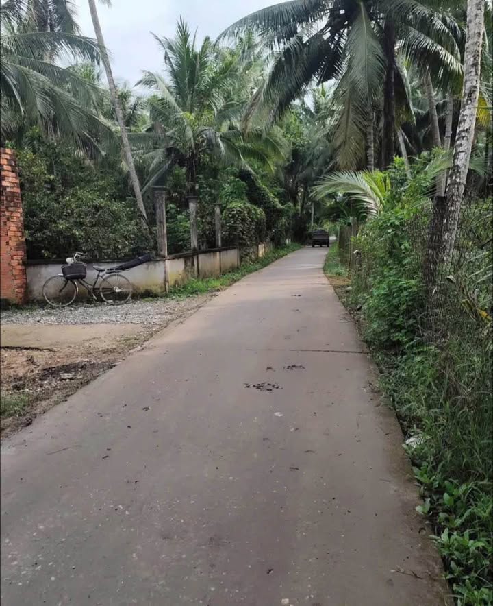 Đất thổ cư 2.500m² tại xã Thạnh Ngãi, Mỏ Cày Bắc - Giá 1.5 tỷ, cơ hội đầu tư tuyệt vời!