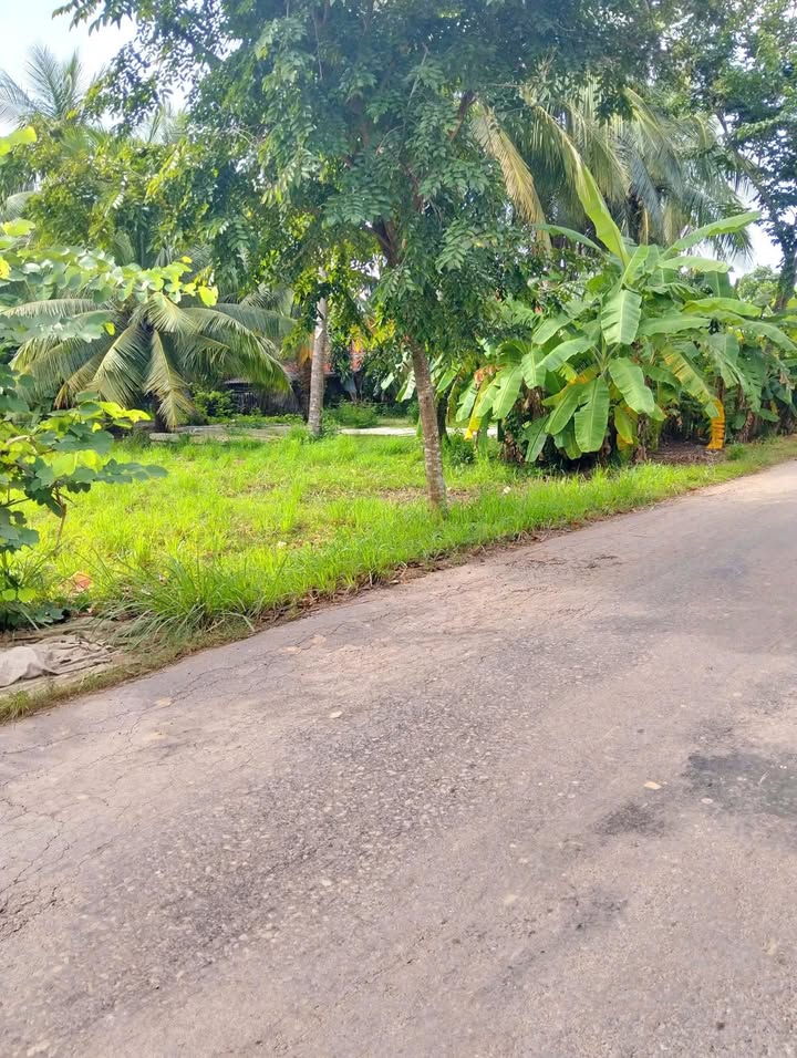 Đất mặt tiền lộ nhựa An Hiệp, Ba Tri, Bến Tre 677m² giá 1.3 tỷ - Cơ hội sở hữu ngay!