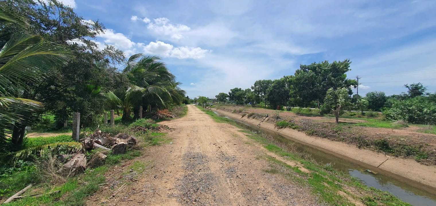 Đất Cây Trồng Full Thổ Cư Thôn 2 Xã Hàm Liêm 3490m² - Giá 14.36 tỷ