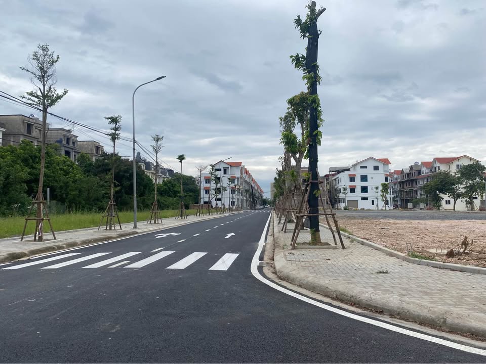 Nhà phố Khu Đô Thị Cenco5 Tân Lập 81m² - Vị trí kinh doanh đắc địa!