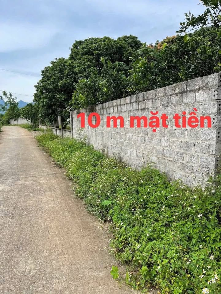 Đất thổ cư Yên Trị 300m² giá 580 triệu - Sổ hồng chính chủ, mặt tiền ô tô!