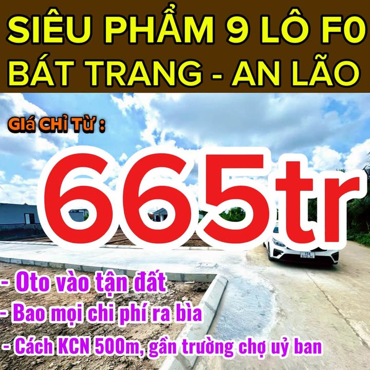 Đất nền Trực Trang, An Lão, Hải Phòng 65m² giá 665 triệu - Cơ hội đầu tư hấp dẫn!