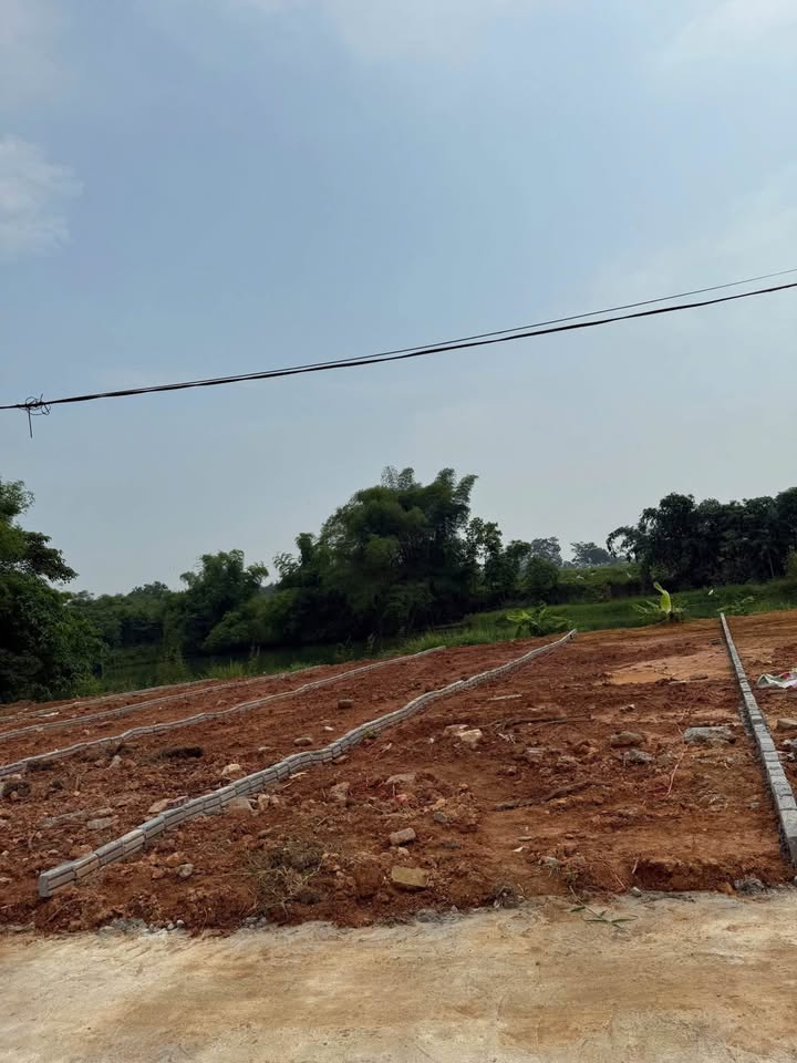 Đất thổ cư 145m² tại An Tường, Tuyên Quang - Giá chỉ 800 triệu!