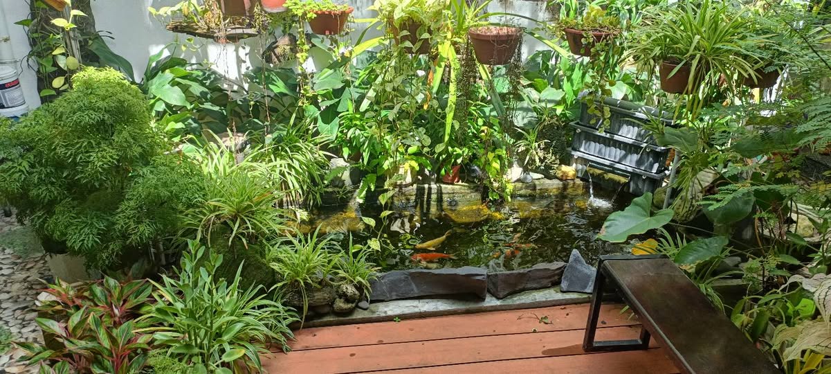 Nhà bán FrontHouse tại Ninh Hòa 228m² giá 9.939 tỷ - Vị trí đắc địa, sổ hồng chính chủ!