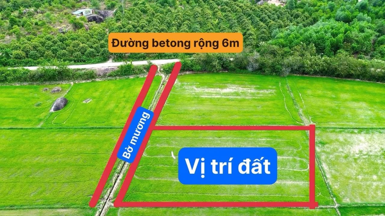 Đất nền Suối Cát 1057m² giá chỉ 175 triệu - Pháp lý rõ ràng!