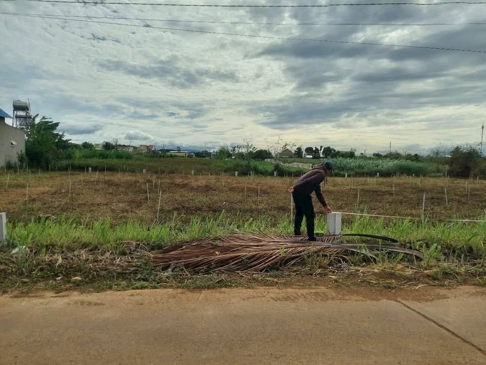 Đất nền Tân Hội, Đức Trọng 120m² giá 780 triệu - Nở hậu, giao thông thuận tiện!