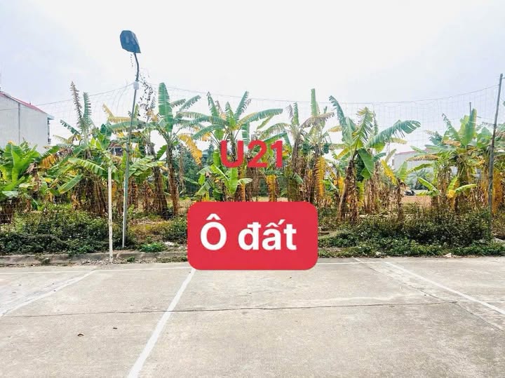 Đất nền Kim Long, Tam Dương 100m² giá 1.9 tỷ - Đầu tư sinh lời ngay!