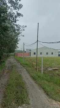 Đất nền 512m² đường Tỉnh Lộ 2 - Sổ đỏ chính chủ, giá chỉ 2.048 tỷ!