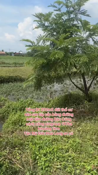 Đất thổ cư 392m² mặt tiền đường Bàu Công, giá 5.8 tỷ - Cơ hội đầu tư hấp dẫn!