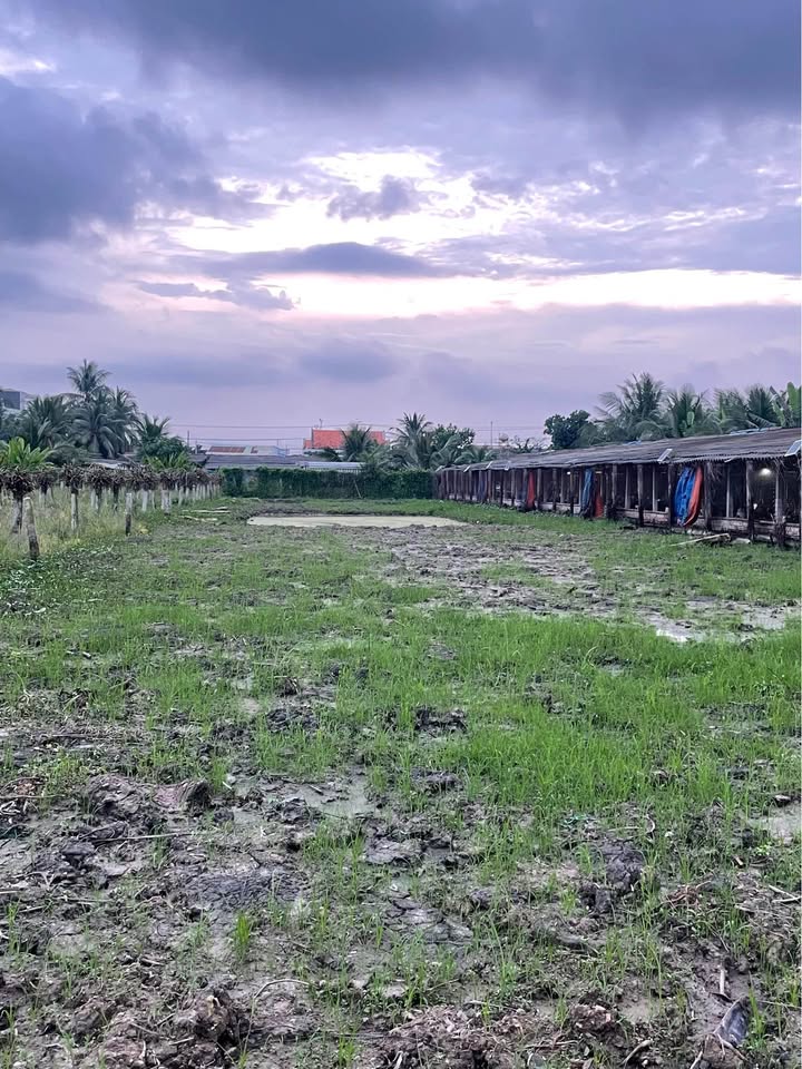 Đất lúa 1.000m² tại xã Vĩnh Công, Tây Ninh - Giá chỉ 850 triệu - Cơ hội đầu tư tuyệt vời!