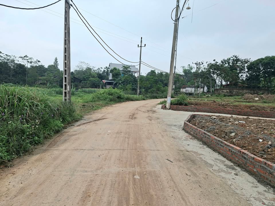 Đất nền thổ cư Hướng Đạo, Tam Dương 105m² giá 1.3 tỷ - Cắt lỗ gấp!