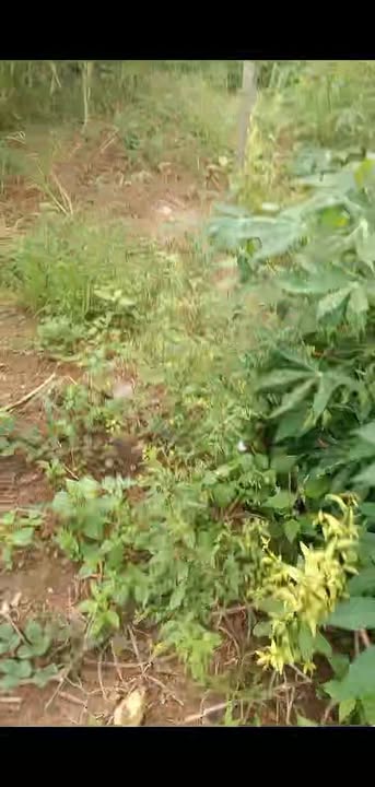 Đất nền Cư M'gar Đắk Lắk 21600m² giá 500 triệu - Pháp lý rõ ràng, cơ hội đầu tư hấp dẫn!