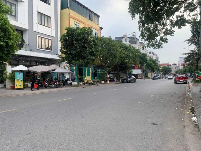 Đất nền phân lô Trâu Quỳ 135m² giá chỉ 18.42 tỷ - Đầu tư siêu lợi nhuận!