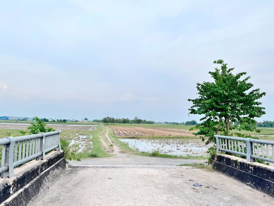 Đất nền Đức Hoà Thượng 750m2 giá 850 triệu - Tiềm năng đầu tư lớn!