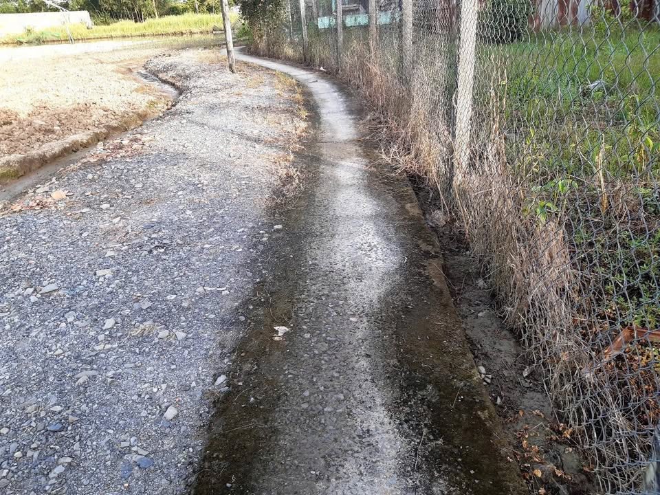 Đất lúa 1039m² tại Phước Hậu, Cần Giuộc - Chính chủ bán gấp!