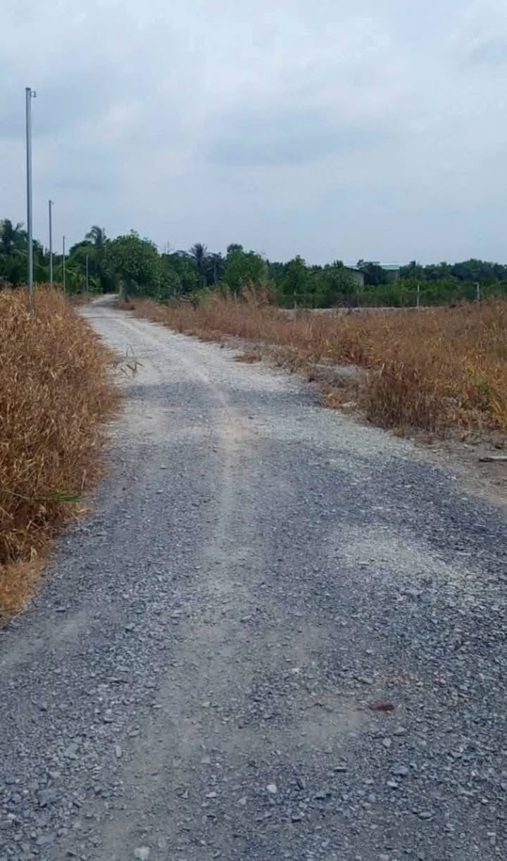 Đất lúa 5127m² tại xã Thạnh Lợi, Tây Ninh giá 2.4 tỷ - Đầu tư sinh lời tuyệt vời!