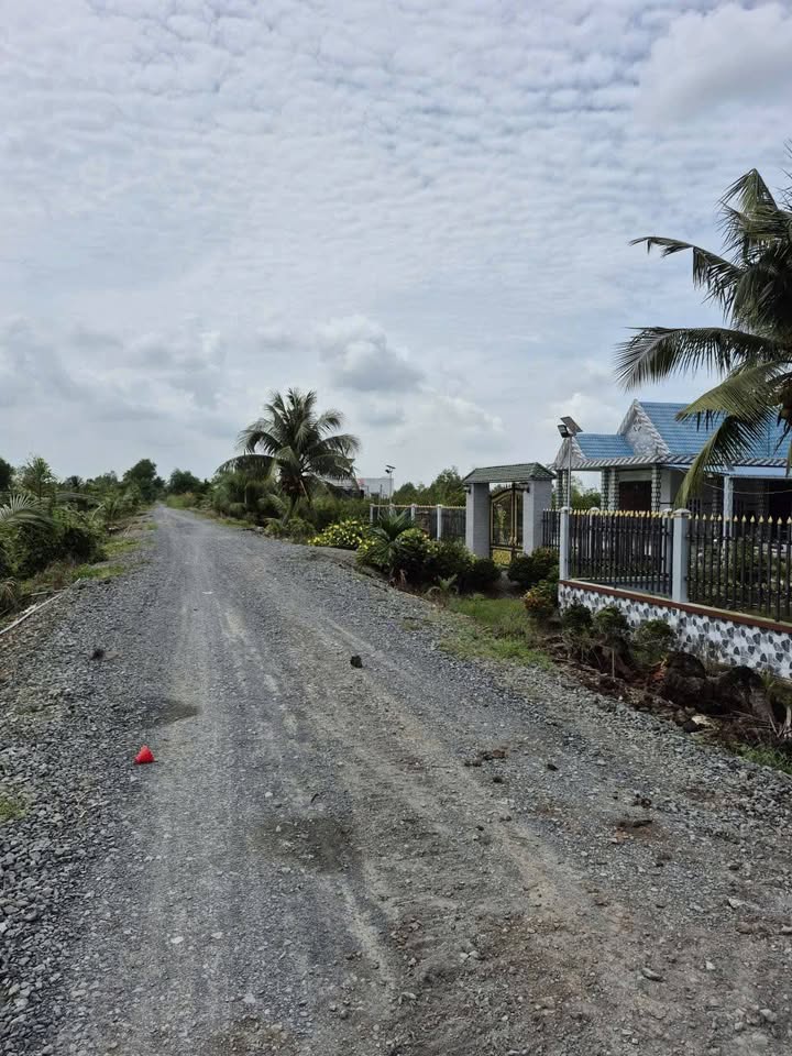 Đất vườn Tân Thành, Thủ Thừa 1000m² giá 599 triệu - Cơ hội đầu tư tuyệt vời!