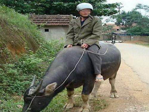 Đất nền Phù Liễn, Kiến An 141m² giá thỏa thuận - Cơ hội đầu tư hấp dẫn!