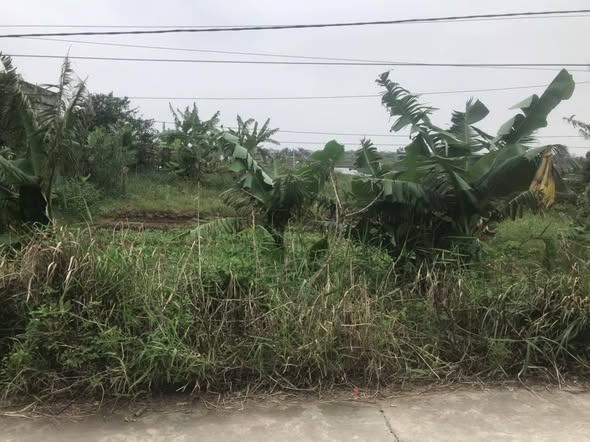 Đất nền Rạng Đông 250m² giá thỏa thuận - Tiềm năng tăng giá cao!