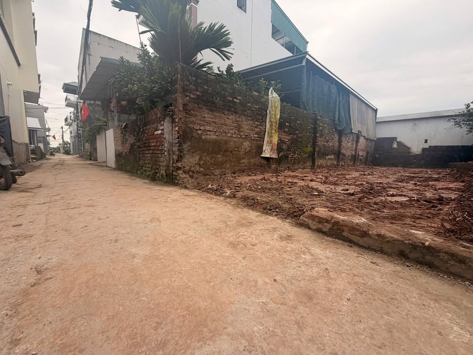 Đất nền Hưng Đạo, Quốc Oai 64m² - Giá yêu thương, ô tô vào tận nơi!