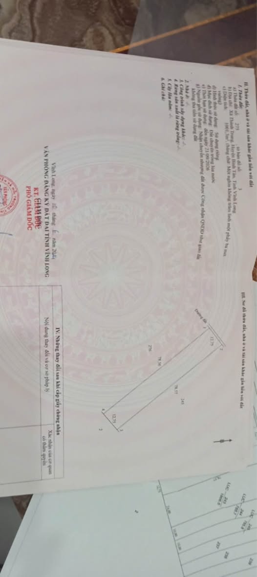 Đất nông nghiệp Tân Thành, Mỏ Cày Nam 10.000m² giá 2.65 tỷ - Mặt tiền rộng 125m, cơ hội đầu tư tốt!