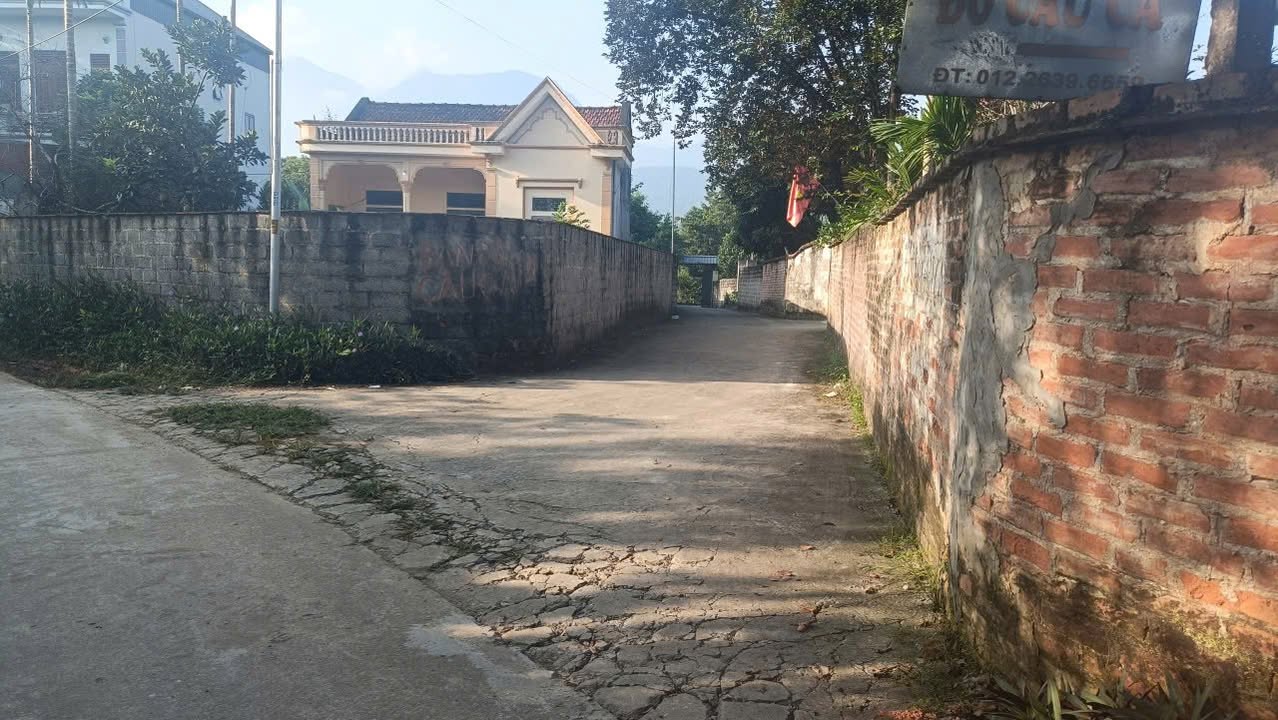 Đất nền Tản Lĩnh 1008m² giá 5 tỷ - Cơ hội đầu tư hiếm có!