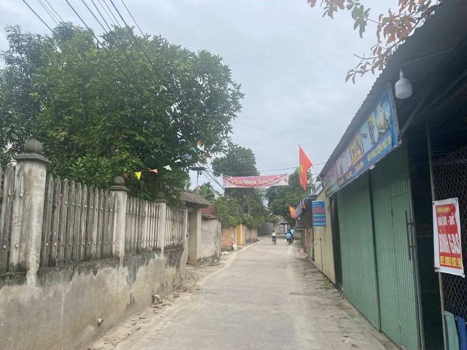 Đất nền Tân Minh, Sóc Sơn 87.9m² giá 1.98 tỷ - Sổ hồng riêng, ô tô vào tận nơi!