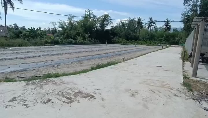 Đất nền Vạn Ninh 1, Mỹ Tài, Phù Mỹ 120m² giá 185 triệu - Sổ đỏ chính chủ!