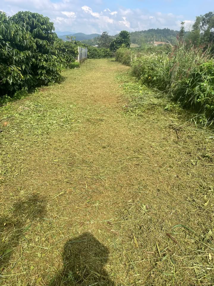 Đất nền Đông Thanh, Lâm Hà 3.677 sào giá 4.1 tỷ - Đầu tư sinh lời ngay!