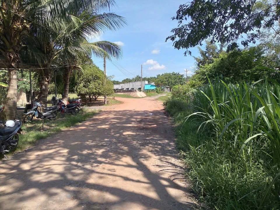 Đất nền 346,6m² tại Ấp B, Xã Tiên Thuận, Huyện Bến Cầu - Giá chỉ 810 triệu!