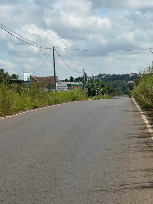 Đất thổ cư 2000m² đường Nguyễn Văn Cừ, Gia Nghĩa, Đắk Nông - Giá chỉ 5.5 tỷ