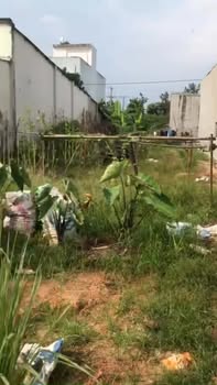 Đất nền Bến Cát 231.9m² giá 2.5 tỷ - Sổ đỏ chính chủ, vị trí đẹp!