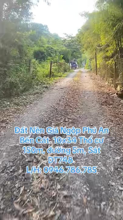Đất nền 334m² tại ĐT748, Phú An, Bến Cát - Giá chỉ 2.5 tỷ, thương lượng!