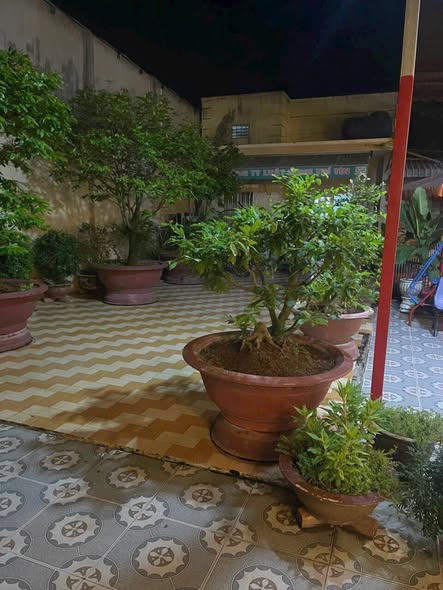 Nhà bán tại An Hòa, Biên Hòa 115m² giá 3.1 tỷ - Gần bệnh viện Sinmart!