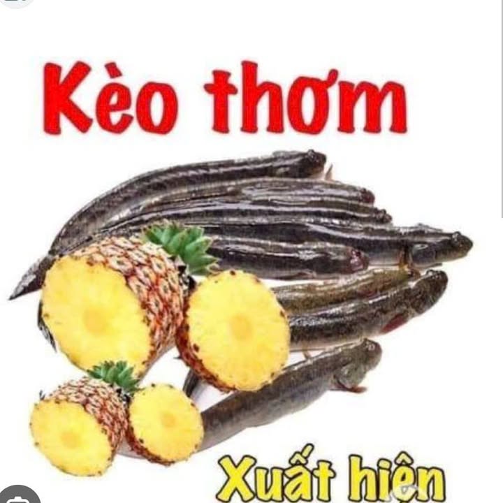 Nhà phố Lê Tấn Bê, Bình Tân 55m² giá 3 tỷ - Đầu tư sinh lời ổn định!