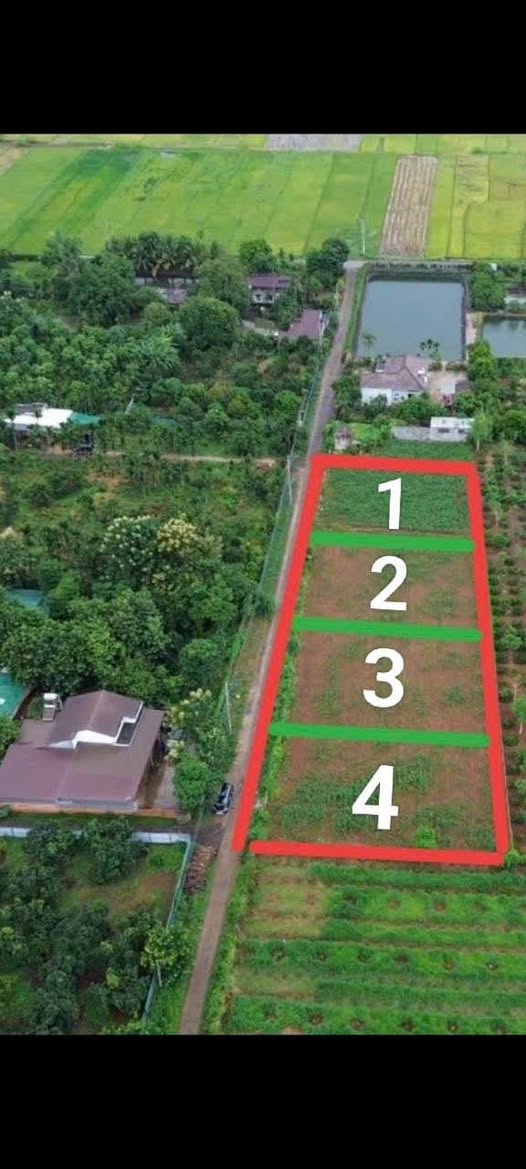 Đất Nông Nghiệp Phường Thành Nhất 540m² giá chỉ 600 triệu - Cơ hội vàng cho nhà đầu tư!