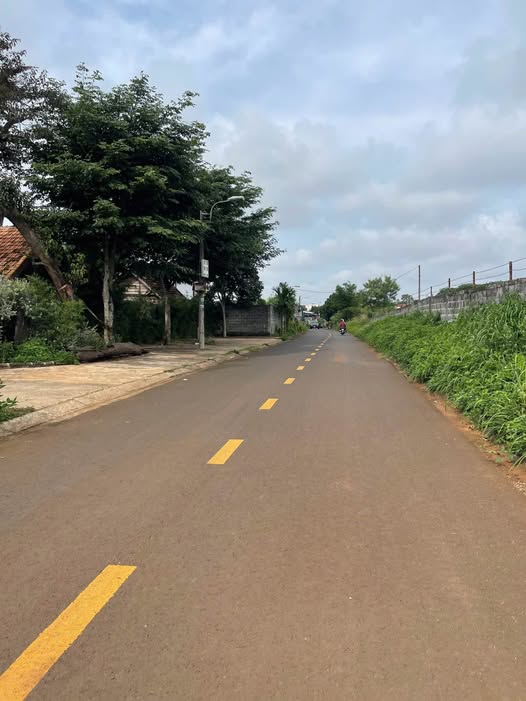 Đất nền mặt tiền Dã Tượng, Tân An, 120m² giá chỉ 3.7 tỷ - Cơ hội đầu tư tuyệt vời!