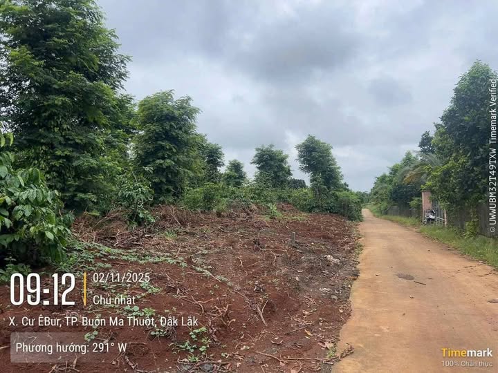 Đất sào 800m² tại Tân Lợi, Buôn Ma Thuột - Giá 1.05 tỷ, vị trí lý tưởng cho nhà vườn!