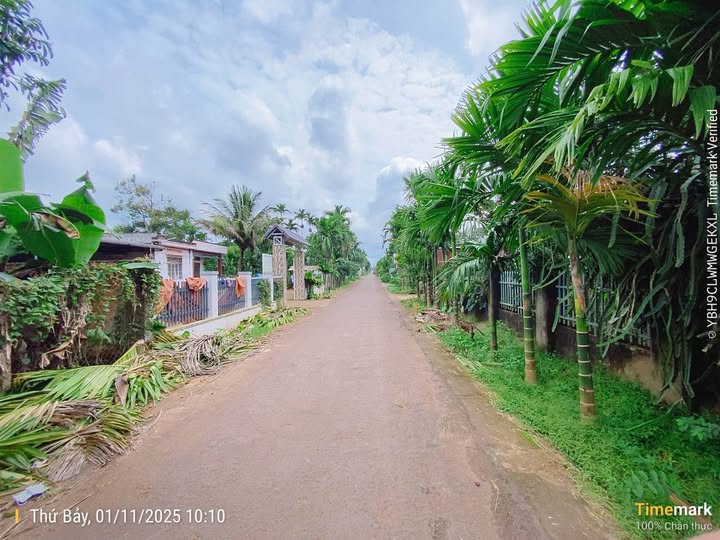 Đất nền mặt tiền đường N4, xã Ea Tu, TP. Buôn Ma Thuột 225m² - Tiềm năng kinh doanh vượt trội!