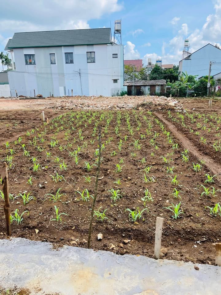 Đất nền hẻm 30 Tây Sơn, Bảo Lộc 85m² giá 1.45 tỷ - Cơ hội đầu tư tuyệt vời!