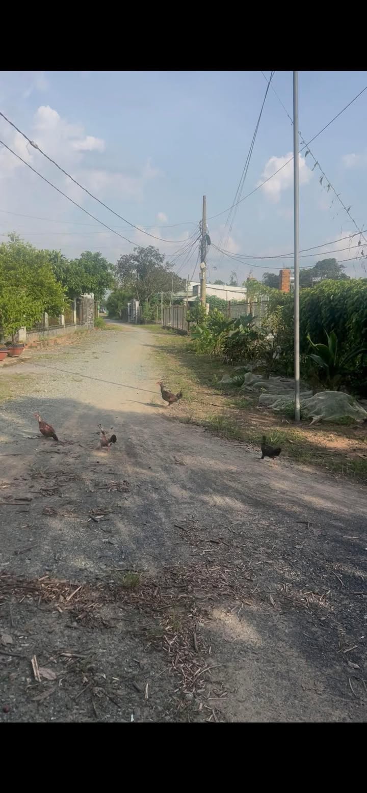 Đất nền Quảng Tiến, Trảng Bom 125m² giá 900 triệu - Sổ riêng thổ cư, dân cư hiện hữu!