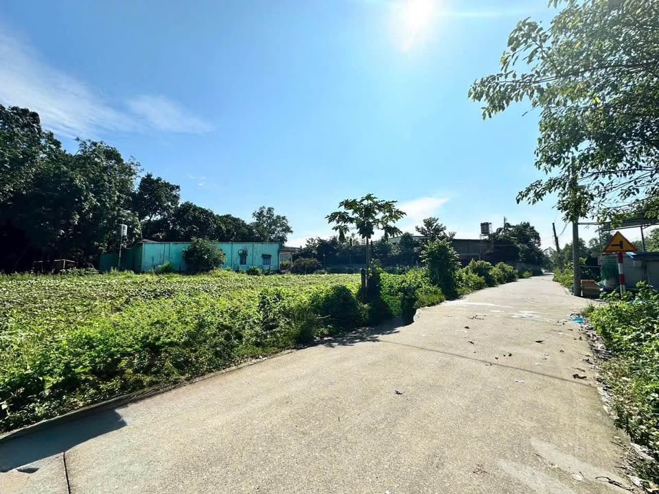 Đất thổ cư Định Hòa Thủ Dầu Một 159m² - Giá tốt, đường thông ô tô!