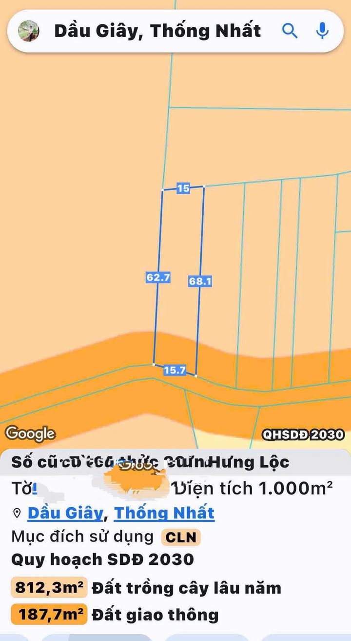 Đất nền Hưng Lộc 1000m² giá 1.2 tỷ - Mặt tiền đường nhựa thuận lợi